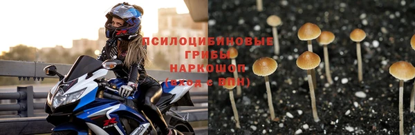 MESCALINE Белокуриха